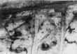 Building CHARTRES-Photo-197.jpg