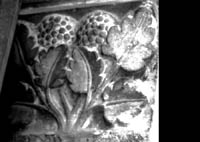 files/capitals/AMIENS/thumbs/AMIENS-1-002.jpg