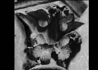files/capitals/AMIENS/thumbs/AMIENS-1-007.jpg