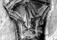 files/capitals/AMIENS/thumbs/AMIENS-1-010.jpg