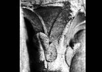 files/capitals/AMIENS/thumbs/AMIENS-1-017.jpg