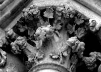 files/capitals/AMIENS/thumbs/AMIENS-2-002.jpg