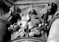 files/capitals/AMIENS/thumbs/AMIENS-3-001.jpg