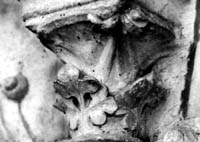 files/capitals/AMIENS/thumbs/AMIENS-6-002.jpg