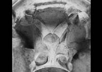 files/capitals/AMIENS/thumbs/AMIENS-7-001.jpg