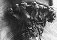 files/capitals/AMIENS/thumbs/AMIENS-7-013.jpg