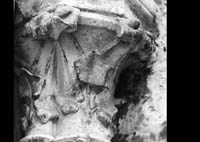 files/capitals/AMIENS/thumbs/AMIENS-7-015.jpg