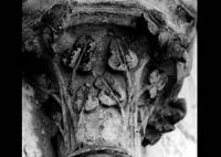 files/capitals/AMIENS/thumbs/AMIENS-7-016.jpg