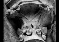 files/capitals/AMIENS/thumbs/AMIENS-7-023.jpg