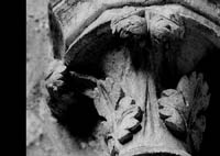 files/capitals/AMIENS/thumbs/AMIENS-7-032.jpg