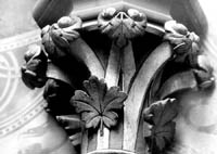 files/capitals/AMIENS/thumbs/AMIENS-7-036.jpg