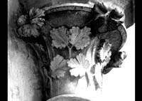 files/capitals/AMIENS/thumbs/AMIENS-7-037.jpg