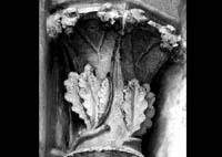 files/capitals/AMIENS/thumbs/AMIENS-7-040.jpg
