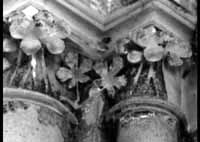 files/capitals/CAMBRONN/thumbs/CAMBRONN-15-096.jpg