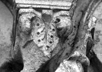 files/capitals/CHARTRES/thumbs/CHARTRES-12-c-185.jpg