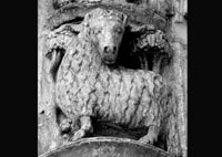 files/capitals/CHARTRES/thumbs/CHARTRES-12-e-013.jpg