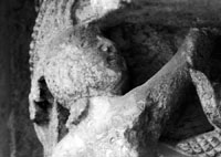 files/capitals/CHARTRES/thumbs/CHARTRES-12-h-116.jpg