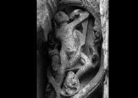 files/capitals/CHARTRES/thumbs/CHARTRES-12-h-125.jpg