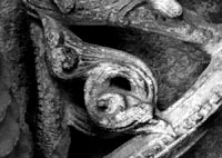 files/capitals/CHARTRES/thumbs/CHARTRES-12-h-127.jpg