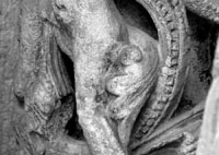 files/capitals/CHARTRES/thumbs/CHARTRES-12-h-129.jpg