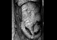 files/capitals/CHARTRES/thumbs/CHARTRES-12-i-147.jpg