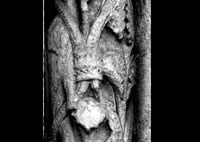 files/capitals/CHARTRES/thumbs/CHARTRES-12-i-149.jpg