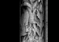 files/capitals/CHARTRES/thumbs/CHARTRES-12-i-150.jpg