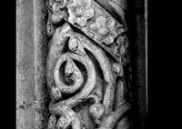 files/capitals/CHARTRES/thumbs/CHARTRES-14-h-221.jpg