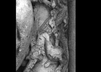 files/capitals/CHARTRES/thumbs/CHARTRES-14-j-260.jpg