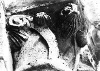 files/capitals/CHARTRES/thumbs/CHARTRES-17-a-387.jpg