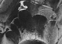 files/capitals/CHARTRES/thumbs/CHARTRES-17-a-394.jpg