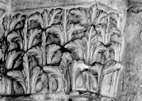 files/capitals/CHARTRES/thumbs/CHARTRES-17-b-309.jpg