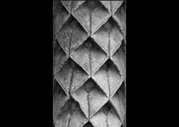 files/capitals/CHARTRES/thumbs/CHARTRES-18-c-004.jpg