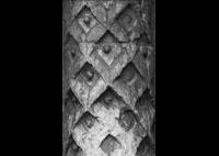 files/capitals/CHARTRES/thumbs/CHARTRES-18-c-005.jpg