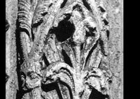 files/capitals/CHARTRES/thumbs/CHARTRES-18-g-372.jpg