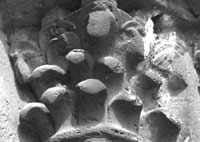 files/capitals/CHARTRES/thumbs/CHARTRES-22-c-471.jpg