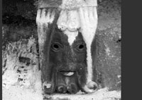 files/capitals/CHARTRES/thumbs/CHARTRES-24-508.jpg