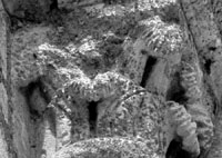 files/capitals/CHARTRES/thumbs/CHARTRES-25-522.jpg