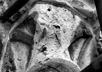 files/capitals/CHARTRES/thumbs/CHARTRES-25-526.jpg