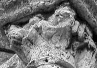files/capitals/CHARTRES/thumbs/CHARTRES-26-541.jpg