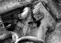 files/capitals/CHARTRES/thumbs/CHARTRES-26-544.jpg