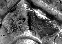 files/capitals/CHARTRES/thumbs/CHARTRES-26-558.jpg