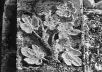 files/capitals/CHARTRES/thumbs/CHARTRES-30-018.jpg