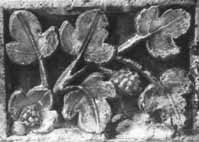 files/capitals/CHARTRES/thumbs/CHARTRES-30-023.jpg