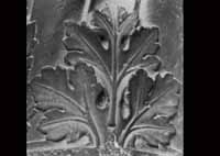 files/capitals/CHARTRES/thumbs/CHARTRES-31-046.jpg