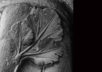 files/capitals/CHARTRES/thumbs/CHARTRES-31-057.jpg