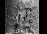 files/capitals/CHARTRES/thumbs/CHARTRES-31-058.jpg