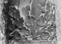 files/capitals/CHARTRES/thumbs/CHARTRES-31-059.jpg