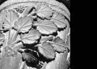 files/capitals/CHARTRES/thumbs/CHARTRES-31-061.jpg
