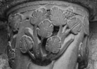 files/capitals/CHARTRES/thumbs/CHARTRES-31-070.jpg